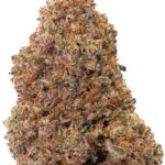 Sugar Cookies – Sweet Balance & Creamy Calm (AAAA Grade)