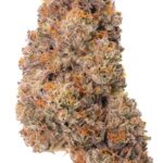 Temptation – Exotic Gas & Creamy Euphoria (AAAA Grade)
