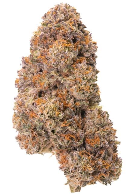 Temptation – Exotic Gas & Creamy Euphoria (AAAA Grade)