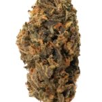 Amnesia Haze – Classic Sativa Power (AA Grade)