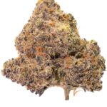 Peyote – Gassy Kush Meets Purple Calm (AAAA Grade)
