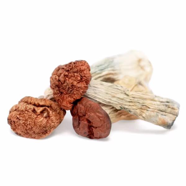 Blue Meanie Magic Mushrooms