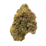 BLUEBERRY GUSHERS -AAAA EXOTIC HYBRID