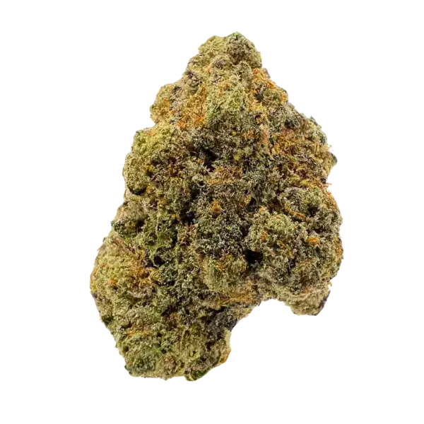 A close-up of a fresh, frosty cannabis bud featuring vibrant green and purple hues, covered with trichomes, showcasing quality marijuana for recreational or medicinal use.