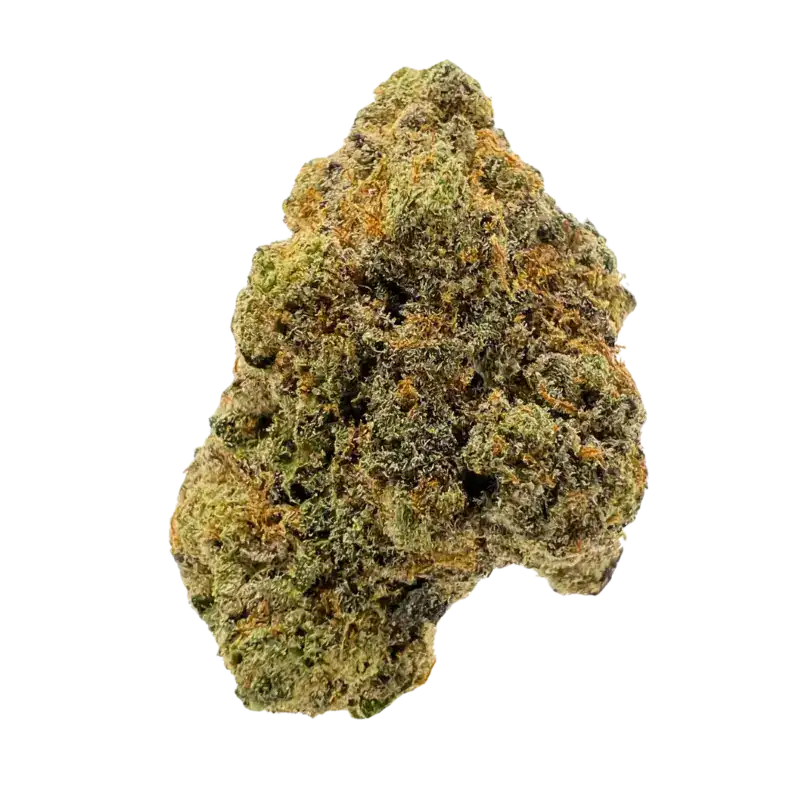 A close-up of a fresh, frosty cannabis bud featuring vibrant green and purple hues, covered with trichomes, showcasing quality marijuana for recreational or medicinal use.