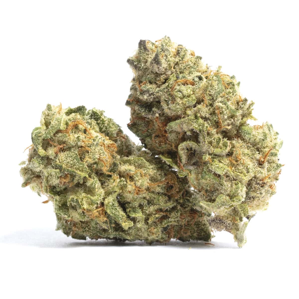 Premium Cannabis Buds. High-quality cannabis buds from Great Canadian Buds featuring fresh, resinous, and aromatic strains. Perfect for recreational and medicinal use with premium terpene profiles.