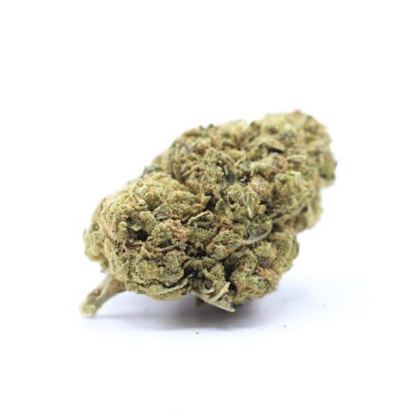 Highly potent cannabis bud for sale in Canada. Perfectly cured and rich in flavor, ideal for recreational and medicinal use. Buy high-quality, lab-tested cannabis online from Great Canadian Buds.