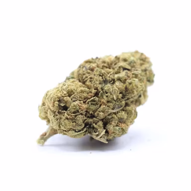 Highly potent cannabis bud for sale in Canada. Perfectly cured and rich in flavor, ideal for recreational and medicinal use. Buy high-quality, lab-tested cannabis online from Great Canadian Buds.