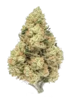 SOUR DIESEL -AA SATIVA