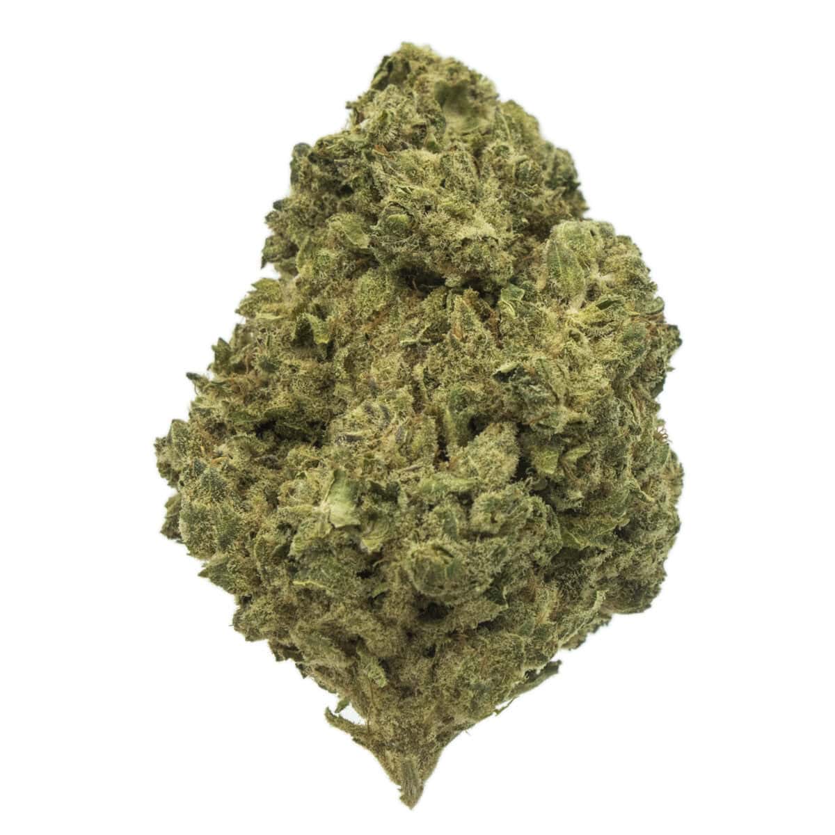 High-quality cannabis bud from Great Canadian Buds, showcasing premium indica and sativa strains. Perfect for recreational and medicinal use, with vibrant green hues and frosty trichomes.