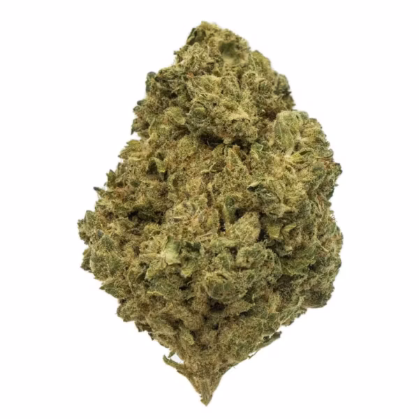 High-quality cannabis bud from Great Canadian Buds, showcasing premium indica and sativa strains. Perfect for recreational and medicinal use, with vibrant green hues and frosty trichomes.