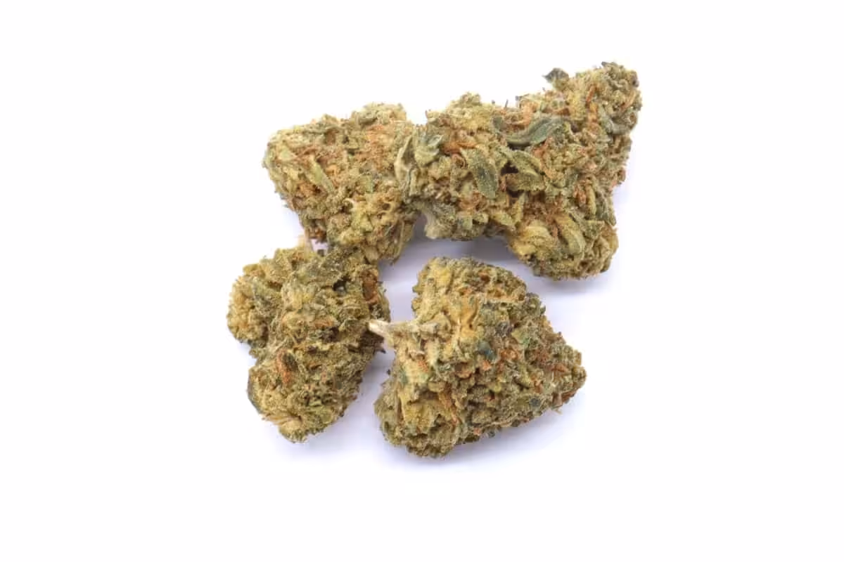 High-quality cannabis buds from Great Canadian Buds, featuring fresh, aromatic, and potent strains. Perfect for recreational and medicinal marijuana users seeking top-tier cannabis products.