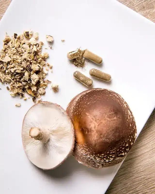 High-quality mushroom supplements with dried chopped mushrooms and capsules.