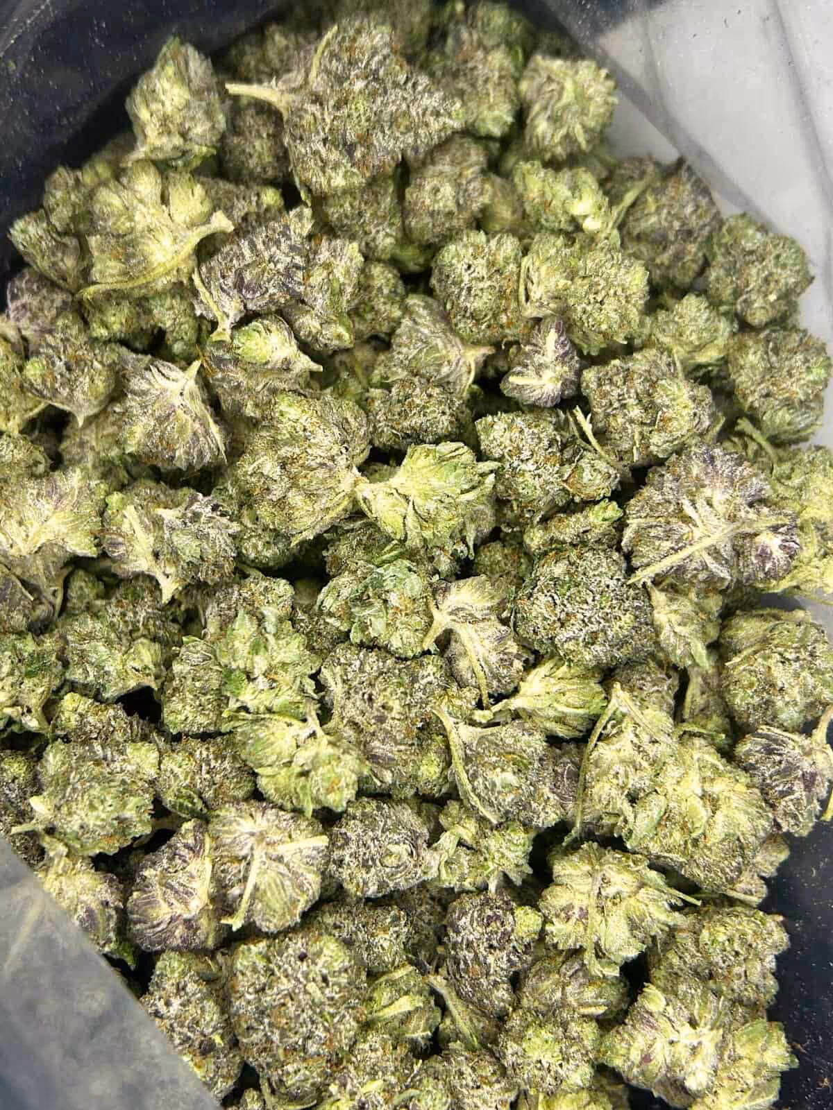 Premium Canadian Cannabis Buds. High-quality cannabis flowers ideal for enthusiasts seeking top-tier, locally grown marijuana. Perfect for relaxation, creativity, or medicinal use. Fresh, potent, and strains available online.