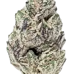 BUTTER COOKIE – AAAA PREMIUM FLOWER