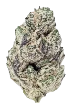 BUTTER COOKIE – AAAA PREMIUM FLOWER