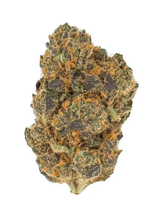 Premium cannabis flower with vibrant purple hues, orange pistils, and a frosty layer of trichomes, ideal for connoisseurs seeking quality and potency.